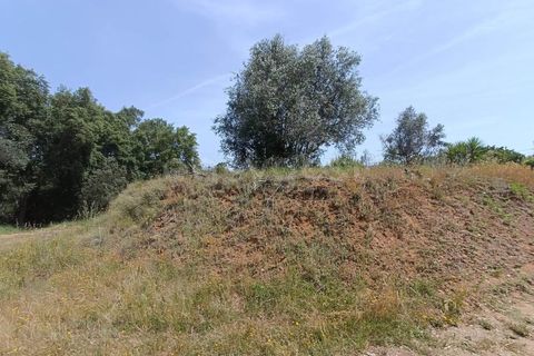 Villa i Serra, Santarem, Serra - € 166.000 | Ref: TM99273 - foto 17