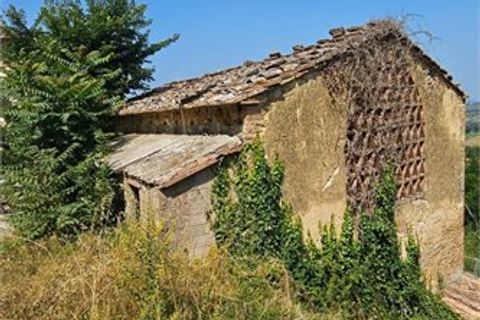 Farm i Poggibonsi, Siena, Poggibonsi - € 810.000 | Ref: ECO-2447 - foto 1