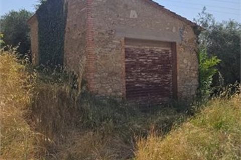 Farm i Poggibonsi, Siena, Poggibonsi - € 810.000 | Ref: ECO-2447 - foto 3