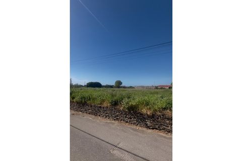 Helårsgrund i Silvalde, Aveiro, Silvalde - € 380.000 | Ref: SÒL_815 - foto 2