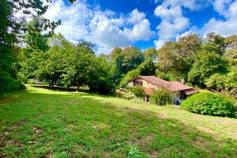 Villa i Bougue, Landes, Bougue - € 458.000 | Ref: 830036272557 - foto 2