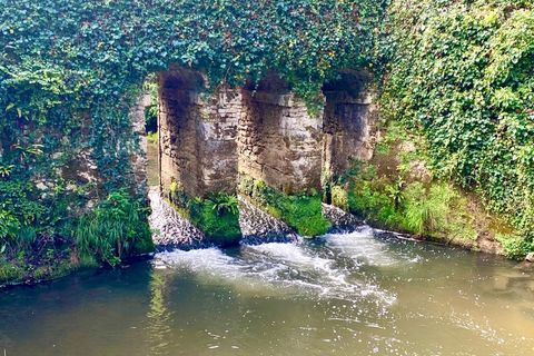 Villa i Bougue, Landes, Bougue - € 458.000 | Ref: 830036272557 - foto 13