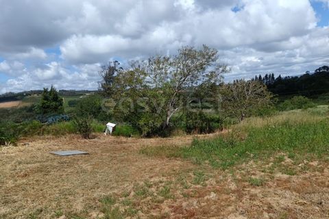 Helårsgrund i Alcobaca, Leiria, Alcobaca - € 139.000 | Ref: LE99250NZ - foto 2