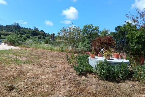 Helårsgrund i Alcobaca, Leiria, Alcobaca - € 139.000 | Ref: LE99250NZ - foto 3