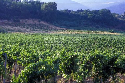 Villa a Montescudaio, Pisa, Montescudaio - € 2.900.000 | Ref: ito3122 - foto 7