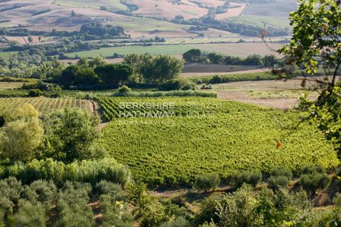 Villa a Montescudaio, Pisa, Montescudaio - € 2.900.000 | Ref: ito3122 - foto 21