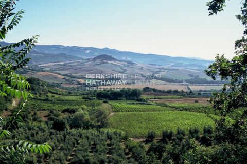 Villa a Montescudaio, Pisa, Montescudaio - € 2.900.000 | Ref: ito3122 - foto 22
