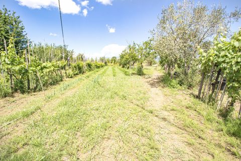 Villa a Quarrata, Pistoia, Quarrata - € 225.000 | Ref: MB225 - foto 14