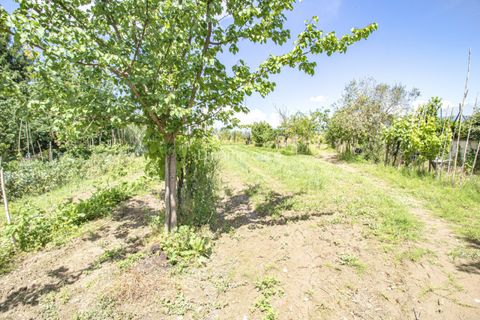 Villa a Quarrata, Pistoia, Quarrata - € 225.000 | Ref: MB225 - foto 16