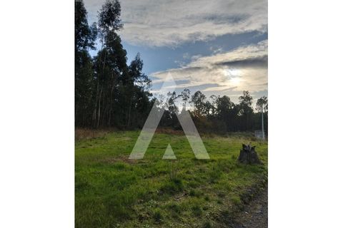Helårsgrund i Ponte de Lima, Viana do Castelo, Ponte de Lima - € 77.500 | Ref: 1350310/26VC - foto 8