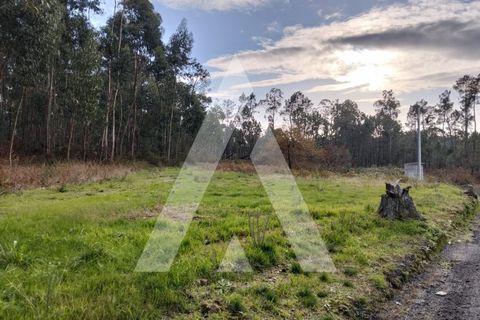 Helårsgrund i Ponte de Lima, Viana do Castelo, Ponte de Lima - € 77.500 | Ref: 1350310/26VC - foto 9