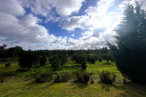 Farm hus i Coruche, Santarem, Coruche - € 740.000 | Ref: C0483-01863 - foto 8