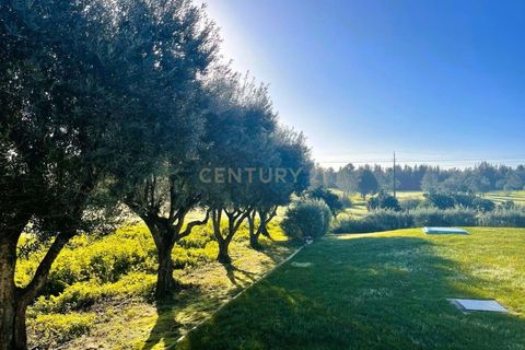 Farm hus i Coruche, Santarem, Coruche - € 740.000 | Ref: C0483-01863 - foto 10