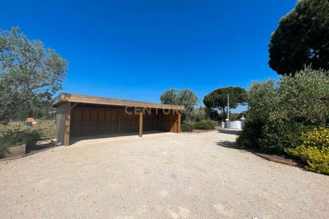Farm hus i Coruche, Santarem, Coruche - € 740.000 | Ref: C0483-01863 - foto 12