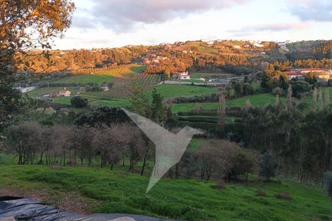 Helårsgrund i Alcobaca, Leiria, Alcobaca - € 95.000 | Ref: TER_159 - foto 1