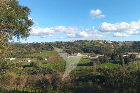 Helårsgrund i Alcobaca, Leiria, Alcobaca - € 95.000 | Ref: TER_159 - foto 3