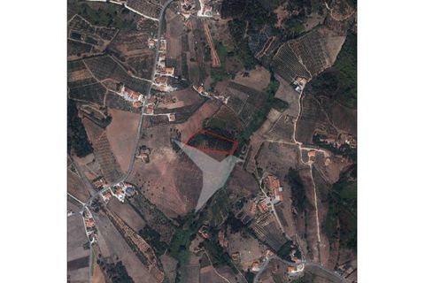 Helårsgrund i Alcobaca, Leiria, Alcobaca - € 95.000 | Ref: TER_159 - foto 4