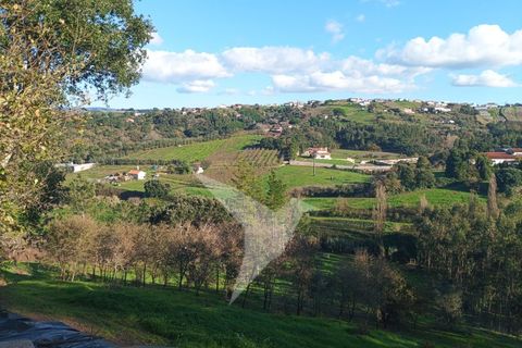 Helårsgrund i Alcobaca, Leiria, Alcobaca - € 75.000 | Ref: TER_160 - foto 1