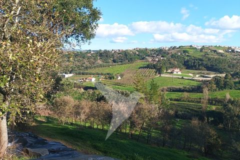 Helårsgrund i Alcobaca, Leiria, Alcobaca - € 75.000 | Ref: TER_160 - foto 2
