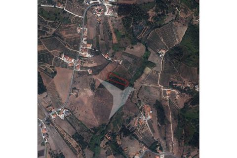 Helårsgrund i Alcobaca, Leiria, Alcobaca - € 75.000 | Ref: TER_160 - foto 3