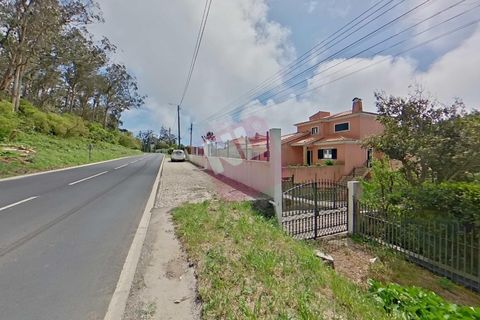 Byhus i Sintra, Lisbon, Sintra - € 1.600.000 | Ref: NL2977 - foto 2