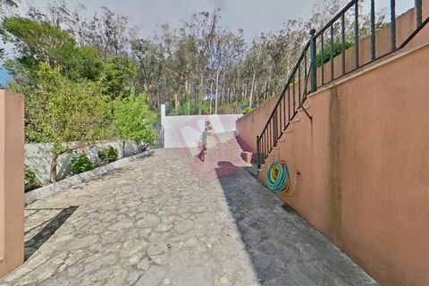 Byhus i Sintra, Lisbon, Sintra - € 1.600.000 | Ref: NL2977 - foto 10
