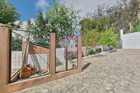 Byhus i Sintra, Lisbon, Sintra - € 1.600.000 | Ref: NL2977 - foto 18