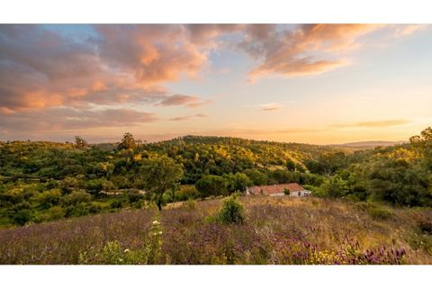 Villa a Odemira, Beja, Odemira - € 350.000 | Ref: 306260002 - foto 18