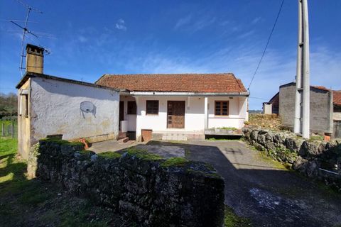 Villa a Santa Comba Dao, Viseu, Santa Comba Dao - € 39.000 | Ref: GRRE-00438/12758 - foto 19