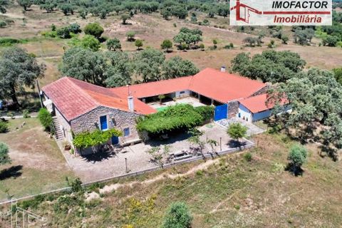 Farm hus i Castelo Branco, Castelo Branco, Castelo Branco - € 1.500.000 | Ref: 21-11881 - foto 1