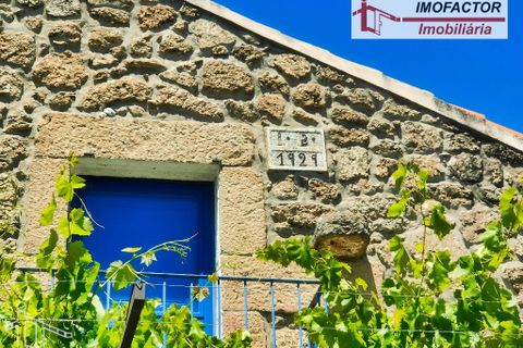 Farm hus i Castelo Branco, Castelo Branco, Castelo Branco - € 1.500.000 | Ref: 21-11881 - foto 5