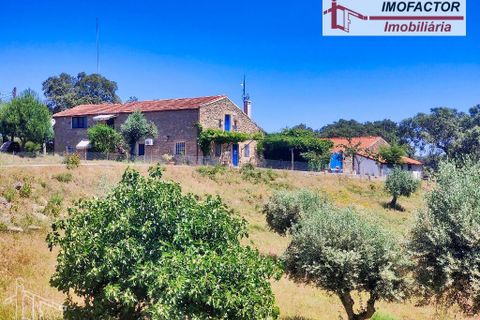 Farm hus i Castelo Branco, Castelo Branco, Castelo Branco - € 1.500.000 | Ref: 21-11881 - foto 6