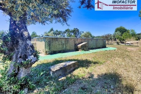 Farm hus i Castelo Branco, Castelo Branco, Castelo Branco - € 1.500.000 | Ref: 21-11881 - foto 10