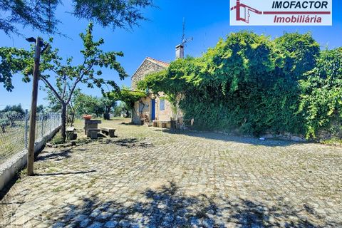 Farm hus i Castelo Branco, Castelo Branco, Castelo Branco - € 1.500.000 | Ref: 21-11881 - foto 11