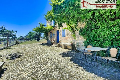 Farm hus i Castelo Branco, Castelo Branco, Castelo Branco - € 1.500.000 | Ref: 21-11881 - foto 12