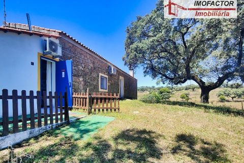 Farm hus i Castelo Branco, Castelo Branco, Castelo Branco - € 1.500.000 | Ref: 21-11881 - foto 14