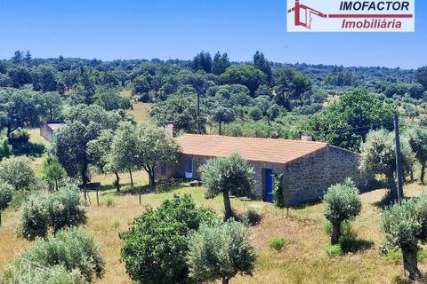 Farm hus i Castelo Branco, Castelo Branco, Castelo Branco - € 1.500.000 | Ref: 21-11881 - foto 16