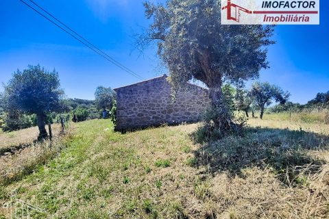 Farm hus i Castelo Branco, Castelo Branco, Castelo Branco - € 1.500.000 | Ref: 21-11881 - foto 17