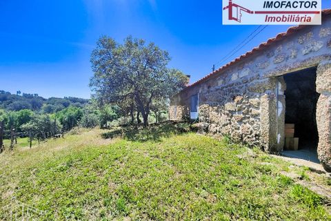 Farm hus i Castelo Branco, Castelo Branco, Castelo Branco - € 1.500.000 | Ref: 21-11881 - foto 18