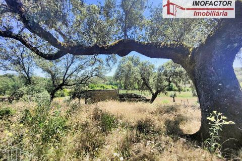 Farm hus i Castelo Branco, Castelo Branco, Castelo Branco - € 1.500.000 | Ref: 21-11881 - foto 19