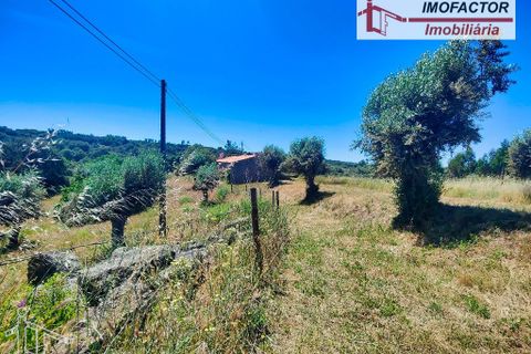 Farm hus i Castelo Branco, Castelo Branco, Castelo Branco - € 1.500.000 | Ref: 21-11881 - foto 20