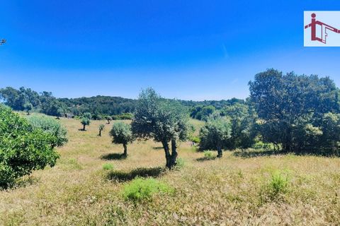Farm hus i Castelo Branco, Castelo Branco, Castelo Branco - € 1.500.000 | Ref: 21-11881 - foto 22