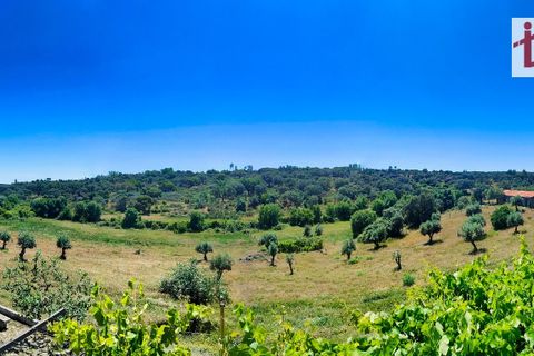 Farm hus i Castelo Branco, Castelo Branco, Castelo Branco - € 1.500.000 | Ref: 21-11881 - foto 23