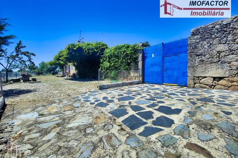 Farm hus i Castelo Branco, Castelo Branco, Castelo Branco - € 1.500.000 | Ref: 21-11881 - foto 24