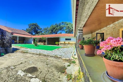 Farm hus i Castelo Branco, Castelo Branco, Castelo Branco - € 1.500.000 | Ref: 21-11881 - foto 33