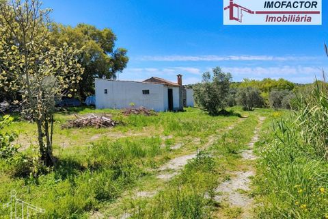 Farm hus i Nisa, Portalegre, Nisa - € 56.000 | Ref: 21-11882 - foto 1