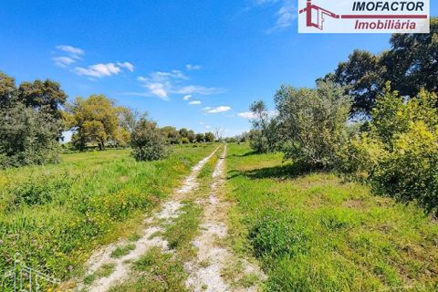 Farm hus i Nisa, Portalegre, Nisa - € 56.000 | Ref: 21-11882 - foto 2