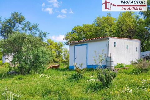 Farm hus i Nisa, Portalegre, Nisa - € 56.000 | Ref: 21-11882 - foto 3