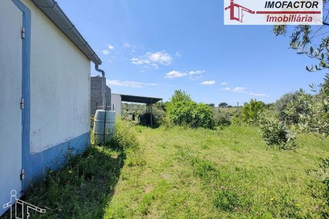 Farm hus i Nisa, Portalegre, Nisa - € 56.000 | Ref: 21-11882 - foto 5