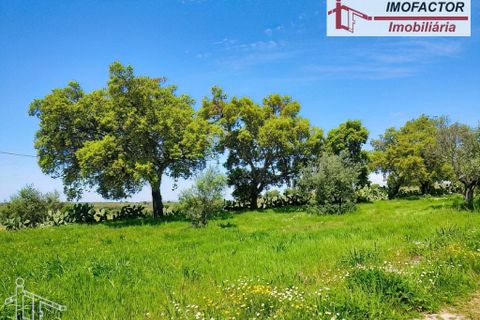 Farm hus i Nisa, Portalegre, Nisa - € 56.000 | Ref: 21-11882 - foto 9